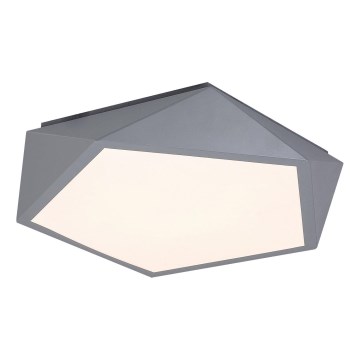 Rabalux - LED Stropna svetilka LED/30W/230V 3000K