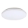 Rabalux - LED Stropna svetilka LED/32W/230V