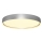 Rabalux - LED Stropna svetilka LED/37W/230V
