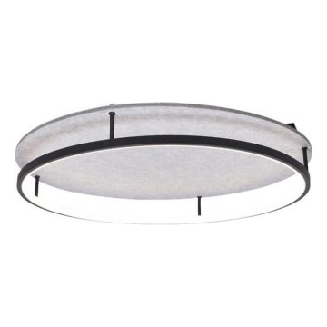 Rabalux - LED Stropna svetilka LED/40W/230V 3000/4000K