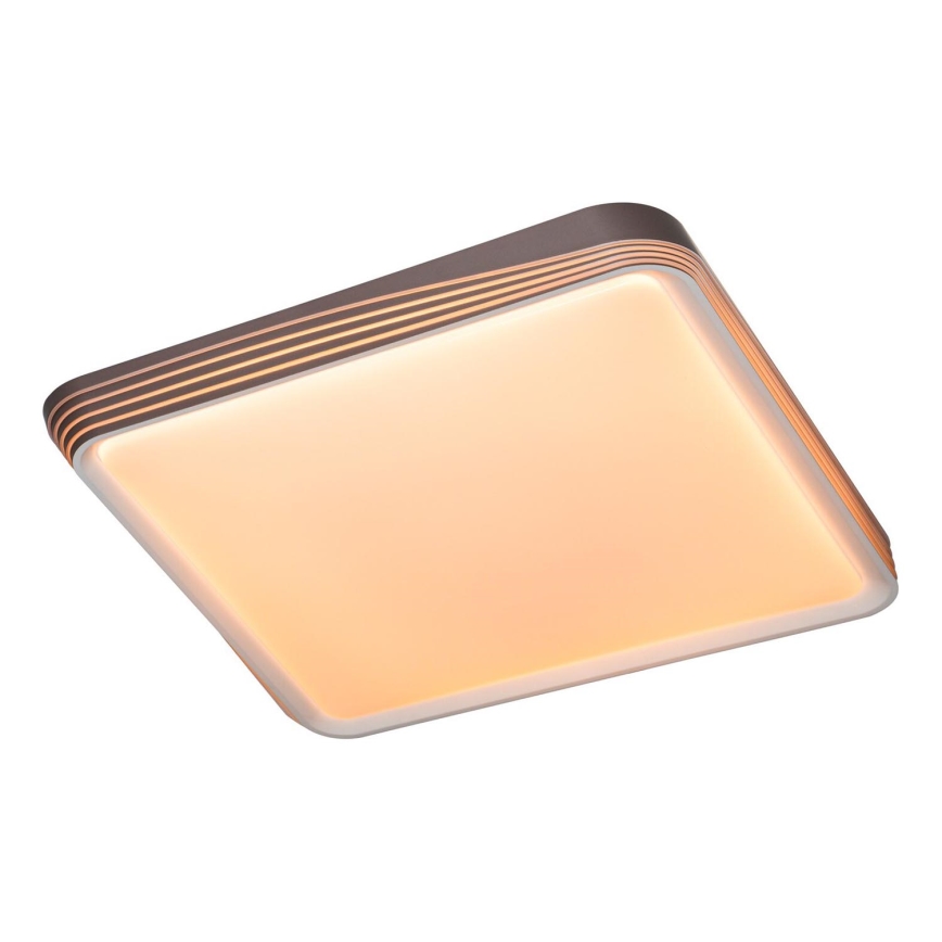 Rabalux - LED Stropna svetilka LED/40W/230V 3000K
