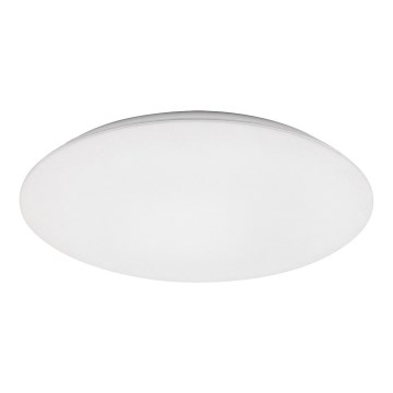 Rabalux - LED Stropna svetilka LED/45W/230V 4000K 48 cm