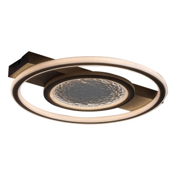 Rabalux - LED Stropna svetilka LED/50W/230V 3000K