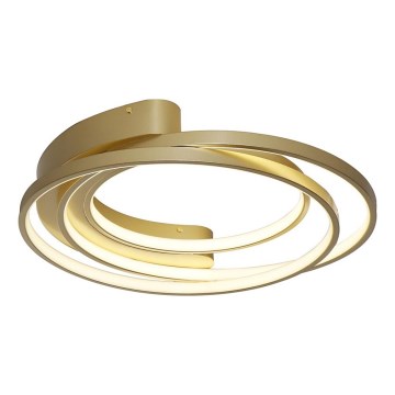 Rabalux - LED Stropna svetilka LED/50W/230V