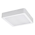 Rabalux - LED Stropna svetilka LED/7W/230V 3000K 12x12 cm bela