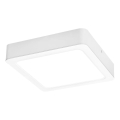 Rabalux - LED Stropna svetilka LED/7W/230V 4000K 12x12 cm bela