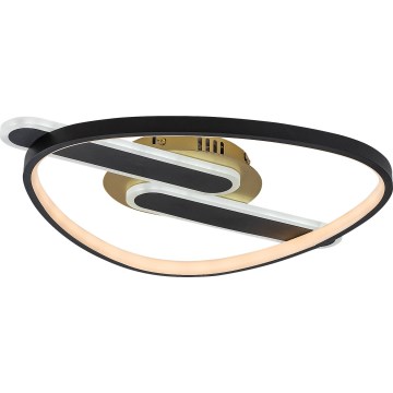 Rabalux - LED stropna svetilka z možnostjo zatemnitve LED/60W/230V 3000-6000K 53x45 cm + daljinski upravljalnik