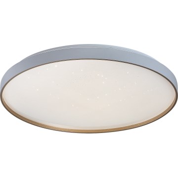 Rabalux - LED stropna svetilka z zatemnitvijo LED/60W/230V 3000-6500K premer 58 cm + daljinski upravljalnik