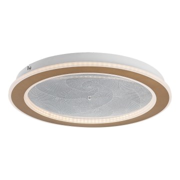 Rabalux - LED stropna svetilka z zatemnjevanjem LED/24W/230V 3000-6500K Ø 40 cm + daljinski upravljalnik