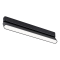 Rabalux - LED Stropna svetilka za 1-fazni tračni sistem LED/16W/230V 4000K 33 cm črna