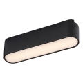 Rabalux - LED Stropna svetilka za 1-fazni tračni sistem LED/6W/230V 3000K 11,5 cm črna