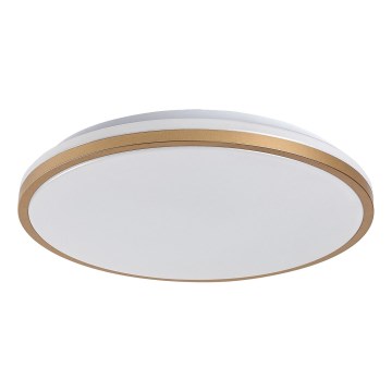 Rabalux - LED stropna svetilka za kopalnico LED/18W/230V IP44, premer 34 cm