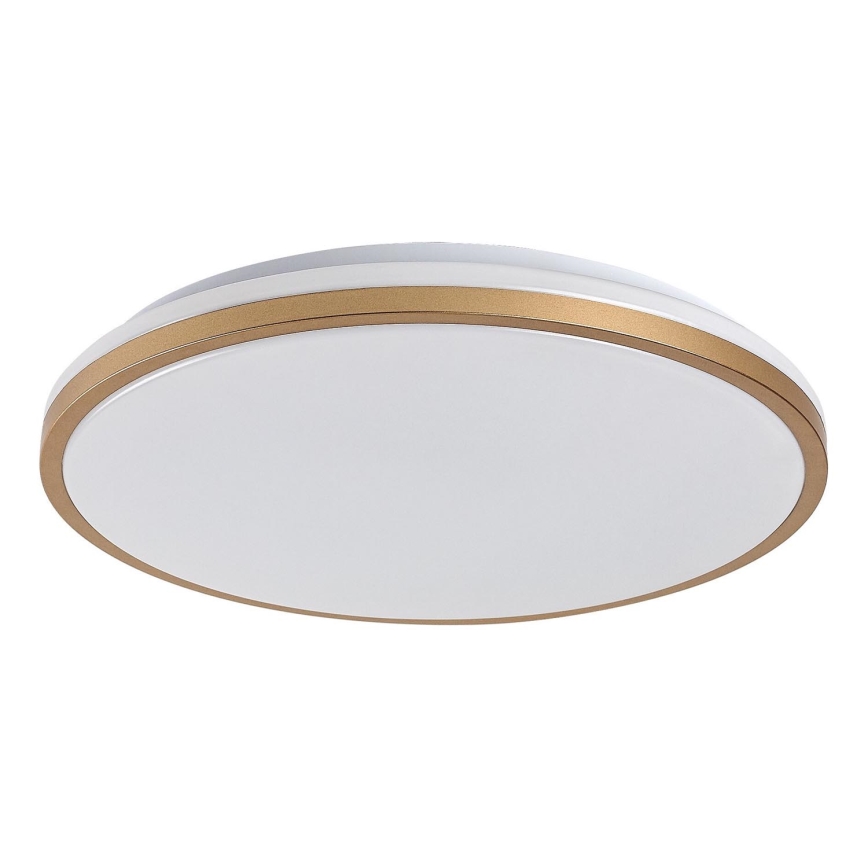 Rabalux - LED stropna svetilka za kopalnico LED/18W/230V IP44, premer 34 cm