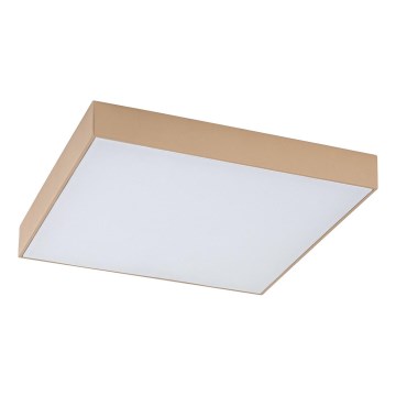 Rabalux - LED stropna svetilka za kopalnico LED/24W/230V 2800/4000/6000K IP44