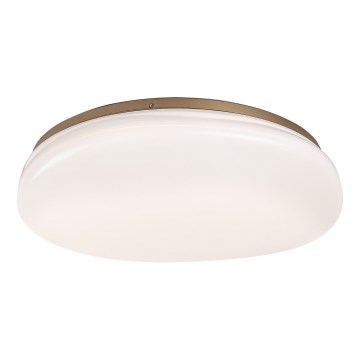 Rabalux - LED stropna svetilka za kopalnico LED/24W/230V IP44 Ø 41 cm