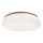 Rabalux - LED stropna svetilka za kopalnico LED/24W/230V IP44 Ø 41 cm