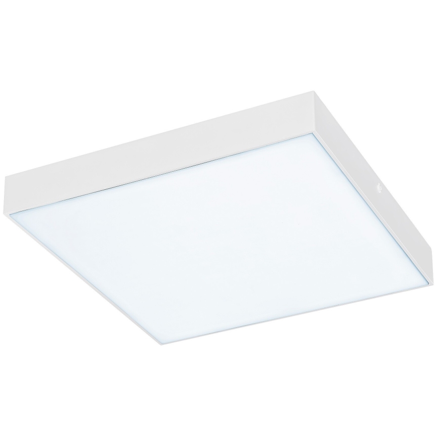 Rabalux - LED stropna svetilka LED/24W/230V 2800-6000K IP44 bela 30x30 cm
