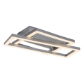 Rabalux - LED stropno svetilo LED/24W/230V 3000K 22x37 cm