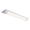 Rabalux - LED svetilka za pod omarico LED/18W/230V 60 cm