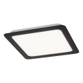 Rabalux - LED Vgradna svetilka LED/18W/230V 22x22 cm črna