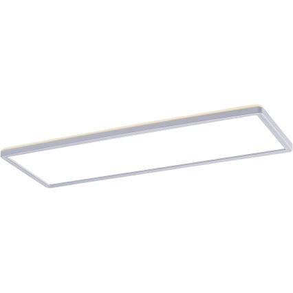 Rabalux - LED Vgradni panel LED/22W/230V