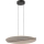 Rabalux - LED viseči lestenec na kablu LED/24W/230V 3000K