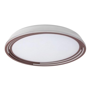 Rabalux - LED Zatemnitvena stropna svetilka LED/36W/230V