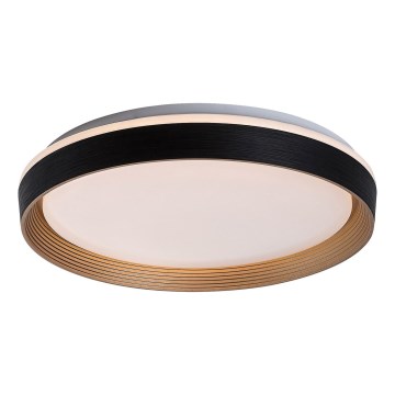 Rabalux - LED Zatemnitvena stropna svetilka LED/48W/230V 3000-6500K + Daljinski upravljalnik