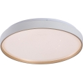 Rabalux - LED zatemnjevalna stropna svetilka LED/34W/230V 3000-6500K pr. 38 cm + daljinski upravljalnik