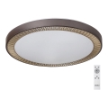 Rabalux - LED zatemnjevalna stropna svetilka LED/40W/230V + daljinski upravljalnik 3000-6000K, premer 50 cm