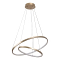 Rabalux - LED zatemnjevalni lestenec na kablu LED/75W/230V 3000-6500K + daljinski upravljalnik