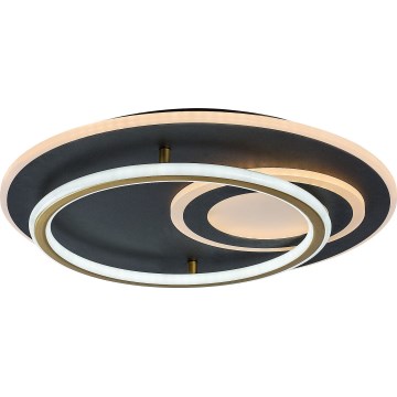 Rabalux - LED zatemnljivo stropno svetilo LED/60W/230V 3000-6000K premer 50 cm + daljinski upravljalnik
