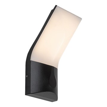 Rabalux - LED Zunanja stenska svetilka LED/10W/230V IP54