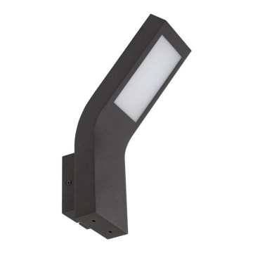 Rabalux - LED Zunanja stenska svetilka LED/9W/230V IP44
