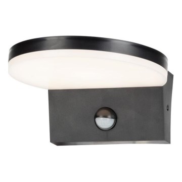 Rabalux - LED Zunanja stenska svetilka s senzorjem LED/9W/230V 2700/4000/6500K IP54 črna