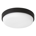 Rabalux - LED Zunanja stropna svetilka LED/14W/230V IP54 črna