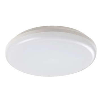 Rabalux - LED Zunanja stropna svetilka LED/24W/230V IP64