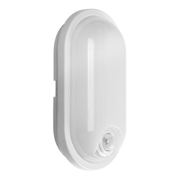 Rabalux - LED Zunanja stropna svetilka s senzorjem LED/15W/230V IP65 bela