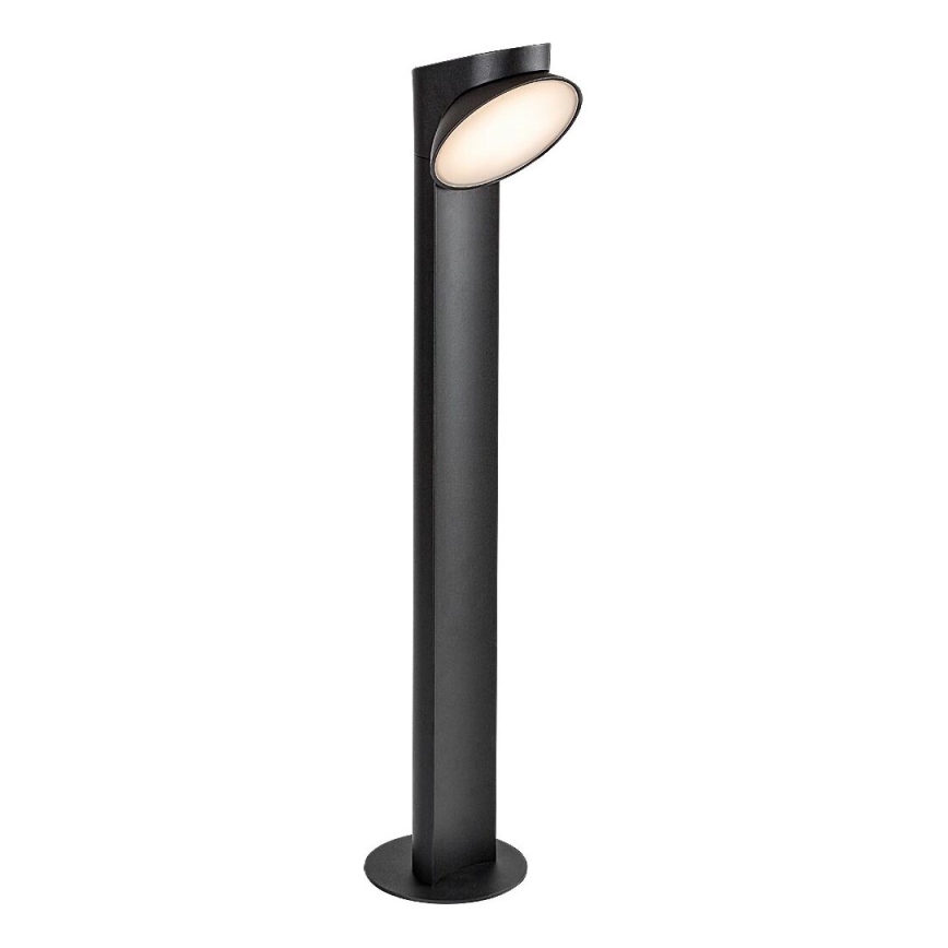 Rabalux - LED Zunanja svetilka LED/12W/230V IP54