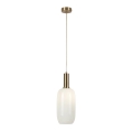 Rabalux - Lestenec na vrvici 1xE27/60W/230V