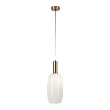 Rabalux - Lestenec na vrvici 1xE27/60W/230V