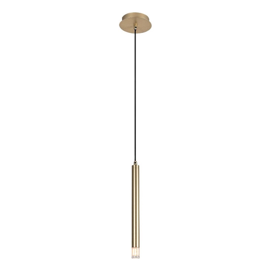 Rabalux - Lestenec na vrvici 1xG9/5W/230V zlata