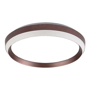 Rabalux - Nadomestni del za stropno svetilo FONTANA