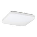 Rabalux - stropna LED svetilka LED/20W/230V 28x28 cm