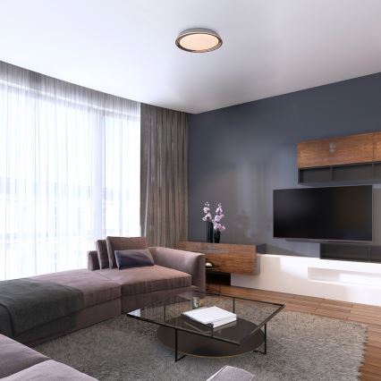 Rabalux - zatemnjiva LED stropna svetilka LED/36W/230V, premer 51,5 cm