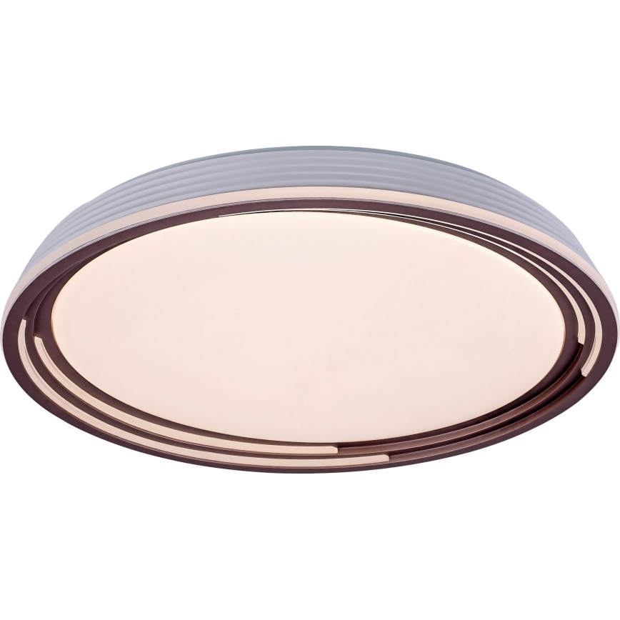 Rabalux - zatemnjiva LED stropna svetilka LED/36W/230V, premer 51,5 cm