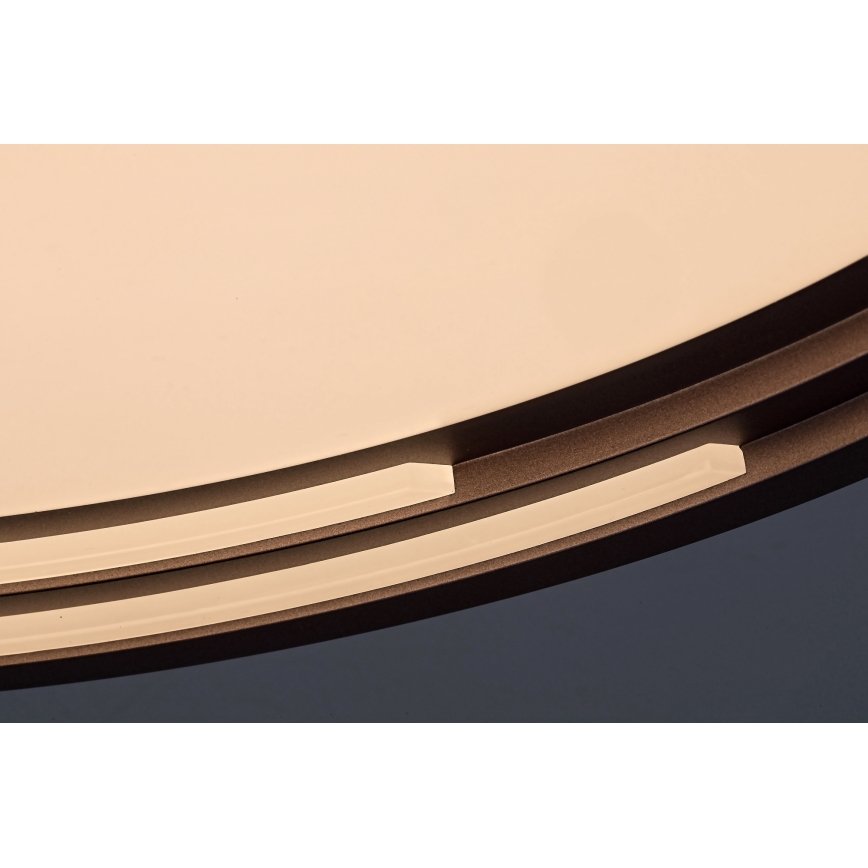 Rabalux - zatemnjiva LED stropna svetilka LED/36W/230V, premer 51,5 cm