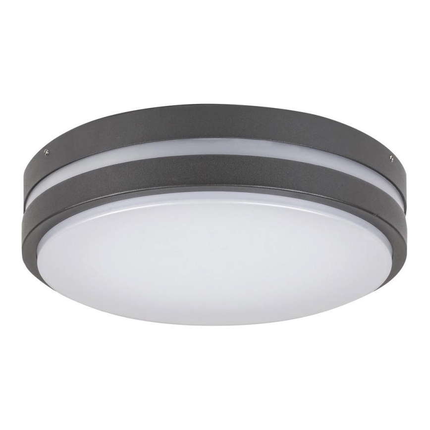 Rabalux - Zunanja LED stropna svetilka HAMBURG LED/12W/230V IP44