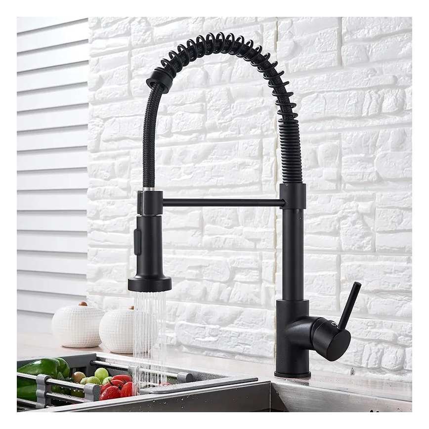 REA-B4820 - Kuhinjska armatura COLIN z izvlečno prho, 42,5 cm, črna