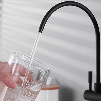 REA-B7564 - Kuhinjska pipa z izvlečno prho in filtracijo ECO FRESH, 37,5 cm, matno črna